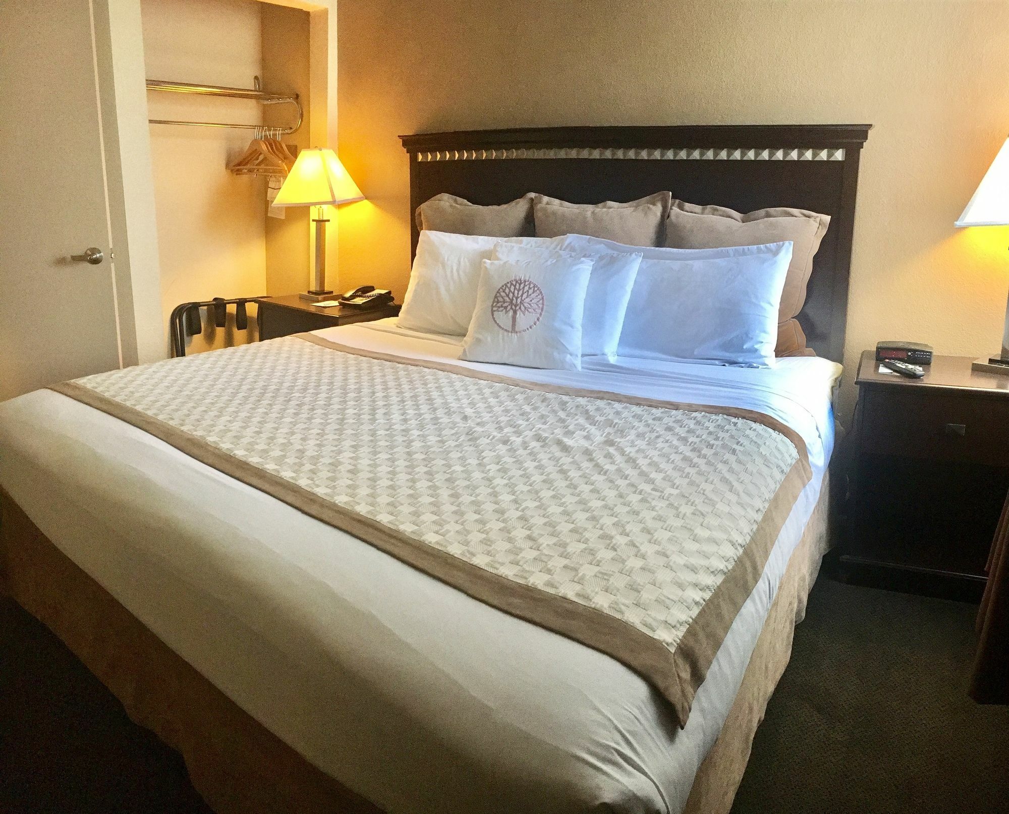 Hawthorn Suites By Wyndham Chandler Zewnętrze zdjęcie